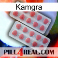 Kamgra 19